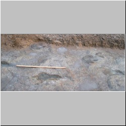 102_7513 (2013-08-19)m.JPG